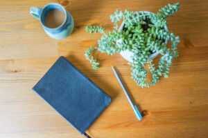 A journal, pen, coffee, and plant on a table.