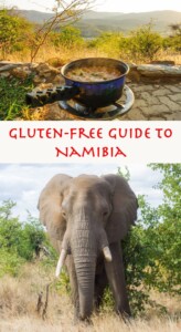 Gluten Free Namibia Pinterest