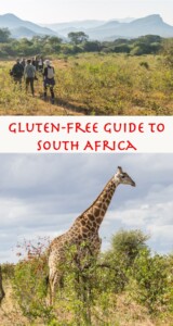 Gluten free South Africa Pinterest