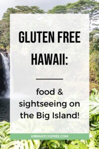 Gluten Free Hawaii - Big Island Pin 5