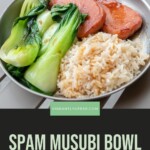 Spam Musubi Bowl Pin 8