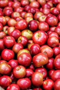 Apples from the orchard