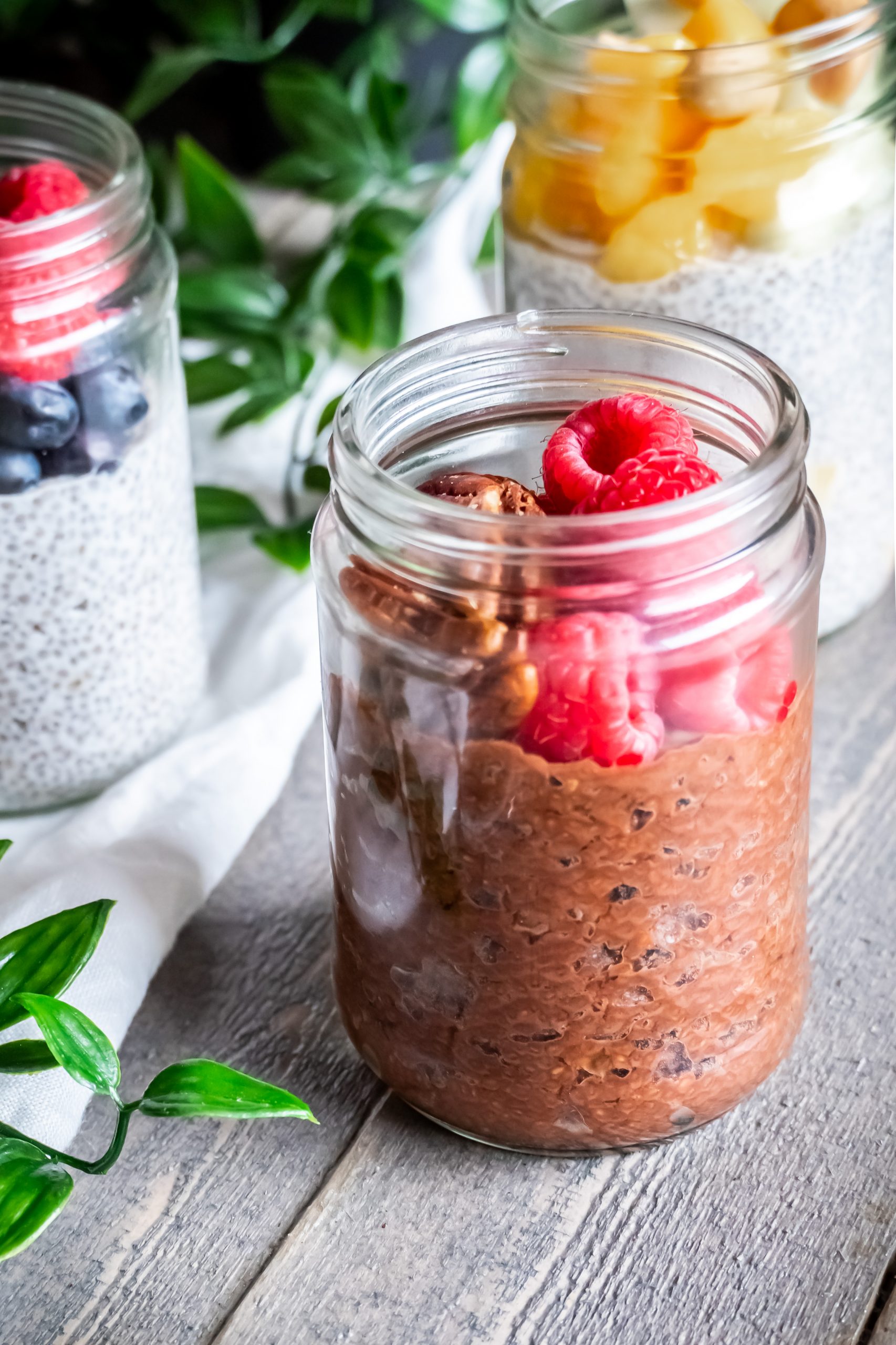 3 flavors of Chia Pudding, chocolate in front