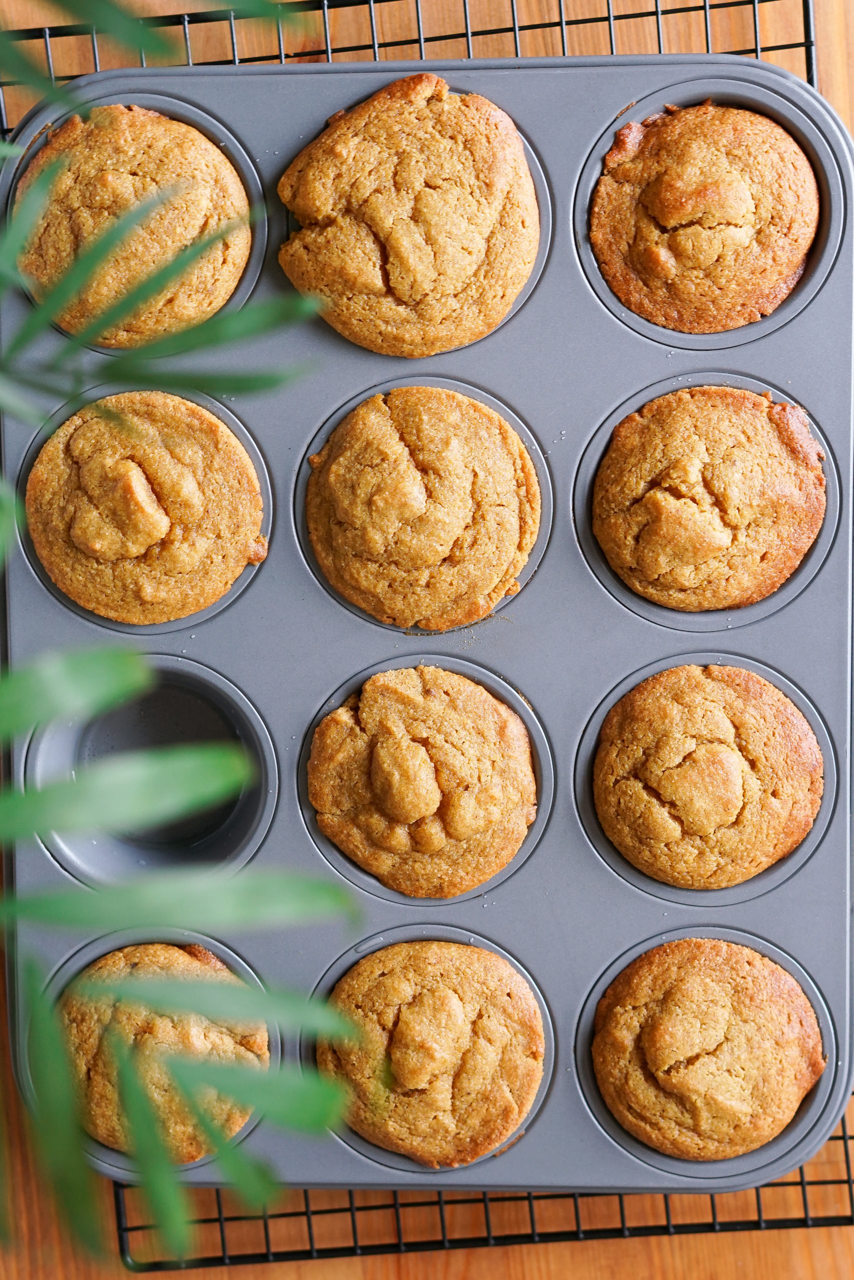  Overhead view of a muffin pan with 12 paleo and Gluten Free pumpkin muffins fresh out of the oven.