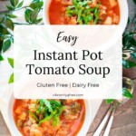Easy Instant Pot Tomato Soup 1