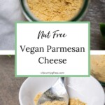Vegan Parmesan Cheese - nut free, 3 ingredient PIN 3