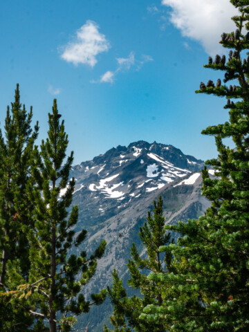 A side view of a snow capped mountain surrounded by pine trees.
