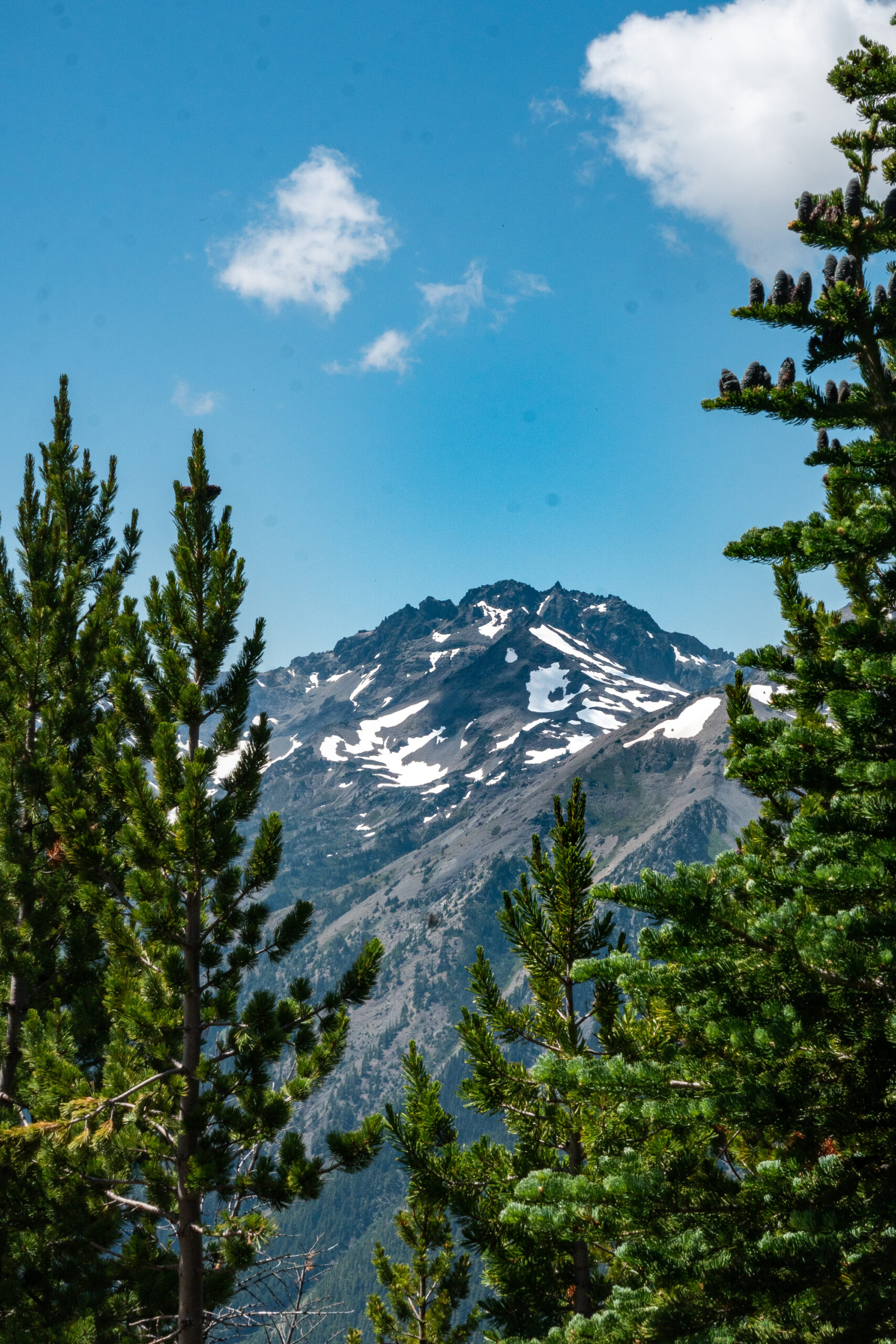 A side view of a snow capped mountain surrounded by pine trees.
