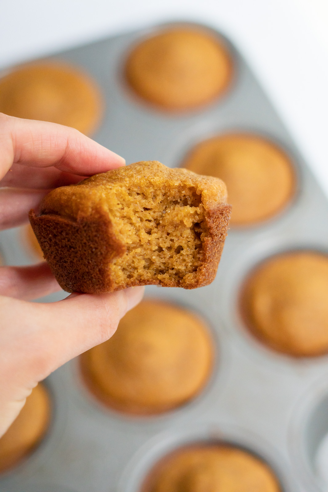 Side view of a hand holding a gluten-free pumpkin muffin with a bite removed to show the soft pillowy texture!
