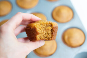 Side view of a hand holding a gluten-free pumpkin muffin with a bite removed to show the soft pillowy texture!