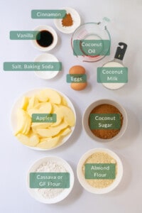 An overhead view of all 11 ingredients you need to make a gluten free apple coffee cake with almond flour.