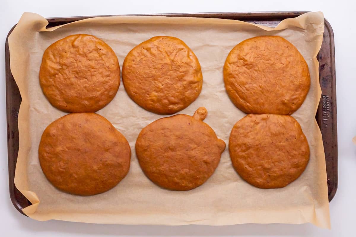 Overhead view of 6 freshly baked paleo pumpkin pancakes on a baking sheet covered with parchment paper.