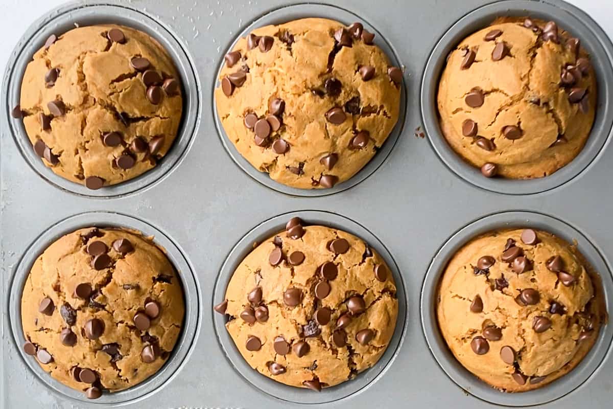 Six gluten-free chocolate chip muffins baked to perfection with round tops!