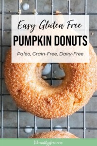 gluten free pumpkin donuts pin