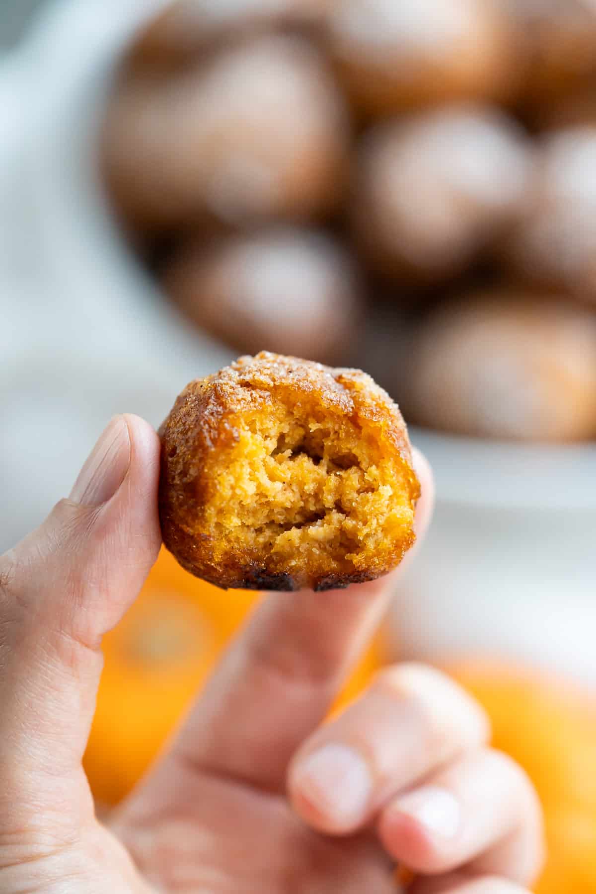 A bite taken out of a gluten free pumpkin donut hole to show the perfect fluffy texture on the inside and crisp fried outside.