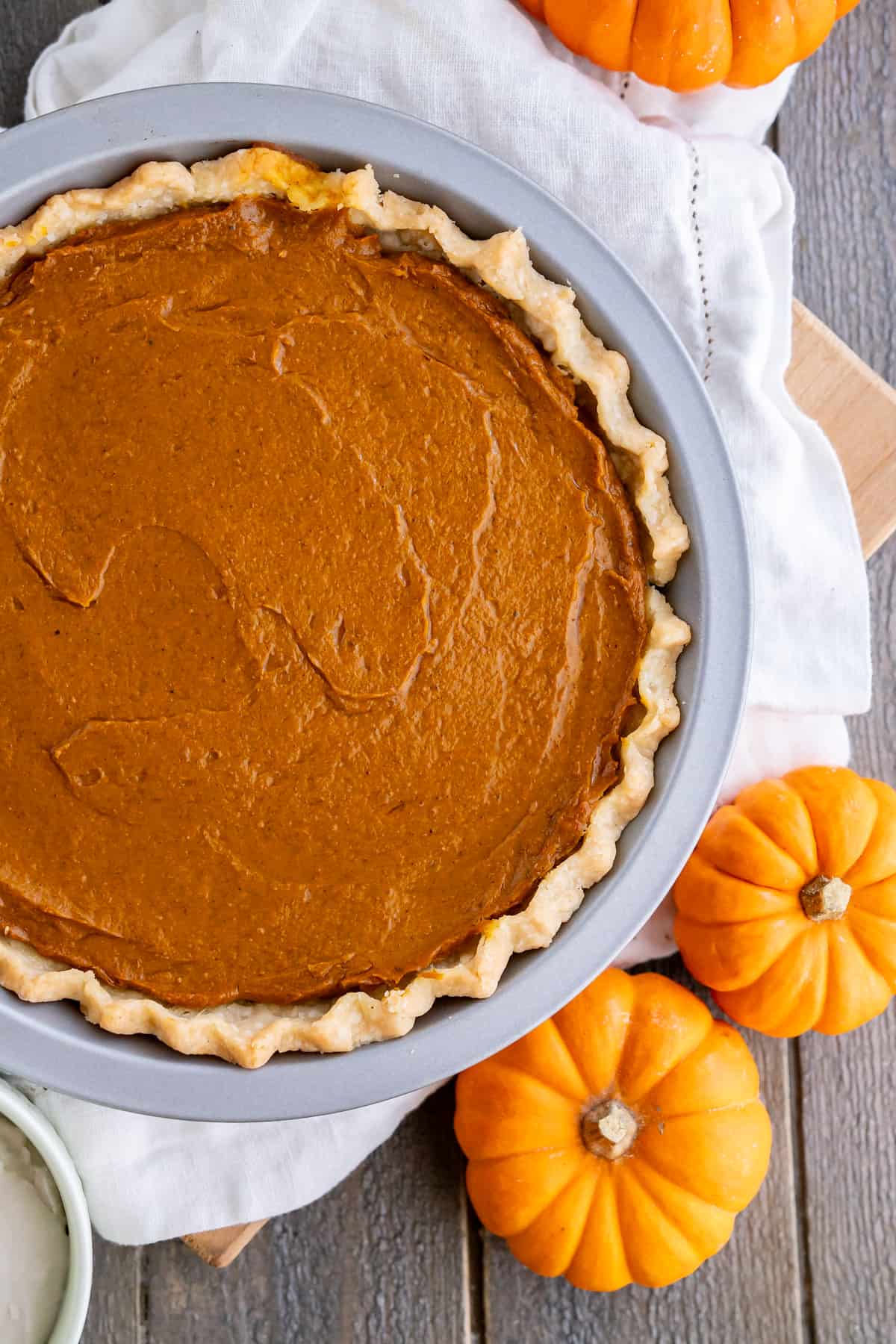 A Freshly baked Vegan and Gluten-Free Pumpkin Pie surrounded by mini pumpkins.