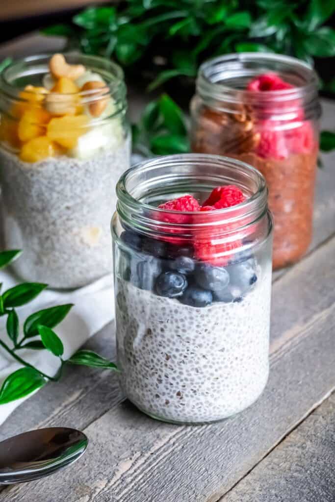 Paleo Chia Seed Pudding (2 ingredients) - Vibrantly G-Free