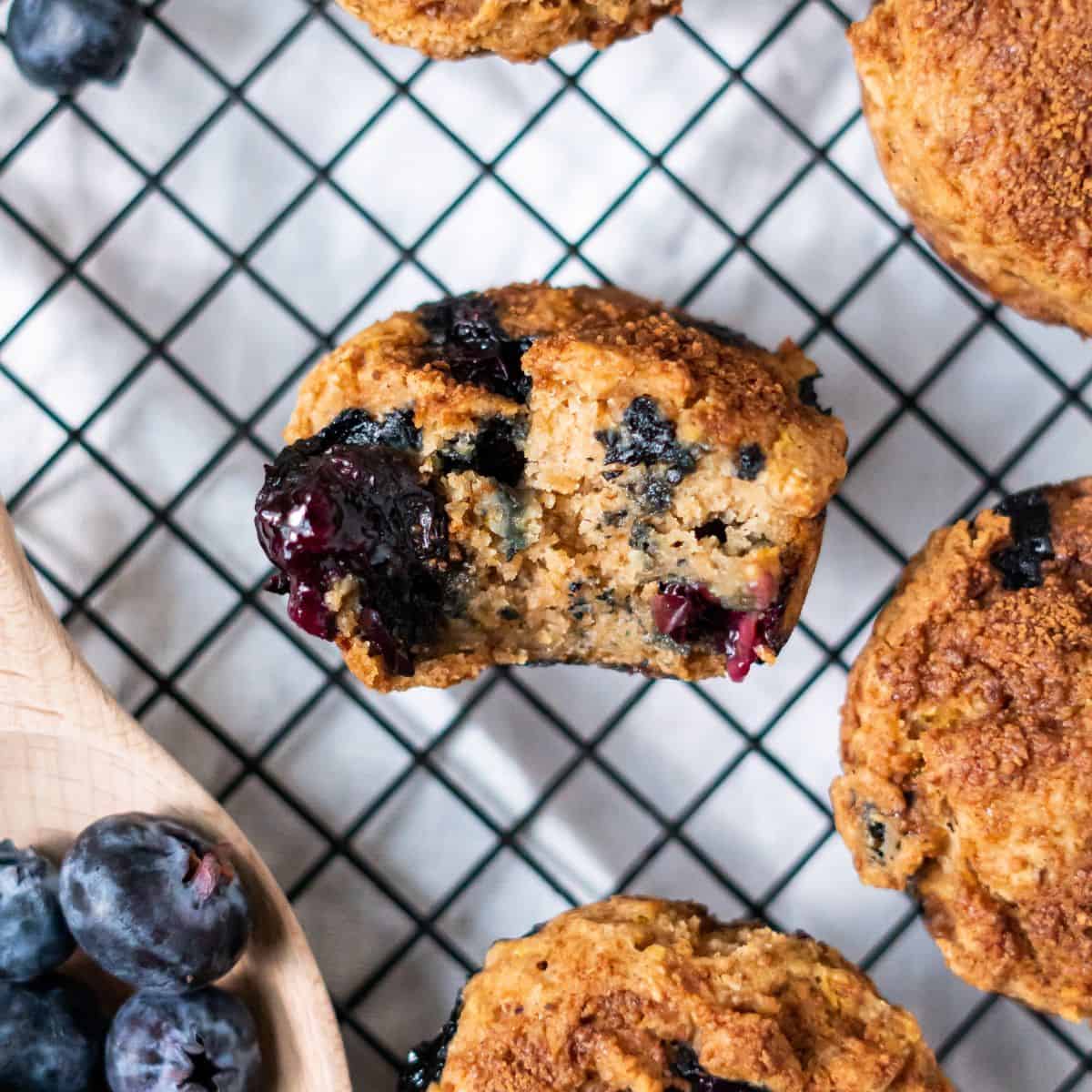 A bite removed from a vegan lemon blueberry muffin to show the traditional muffin crumb and big juicy blueberries!