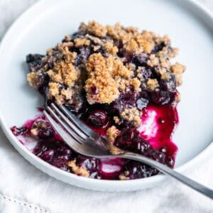 A close up of a serving of blueberry crumble to show the crumble and filling textures.