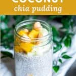 A jar of mango coconut chia pudding topped with fresh mango, honeydew melon, and salted cashews.