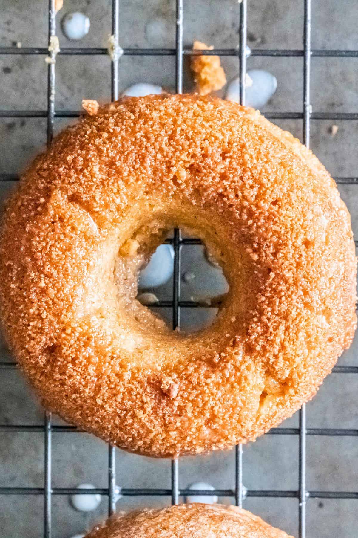 A paleo pumpkin donut crusted with cinnamon sugar topping.