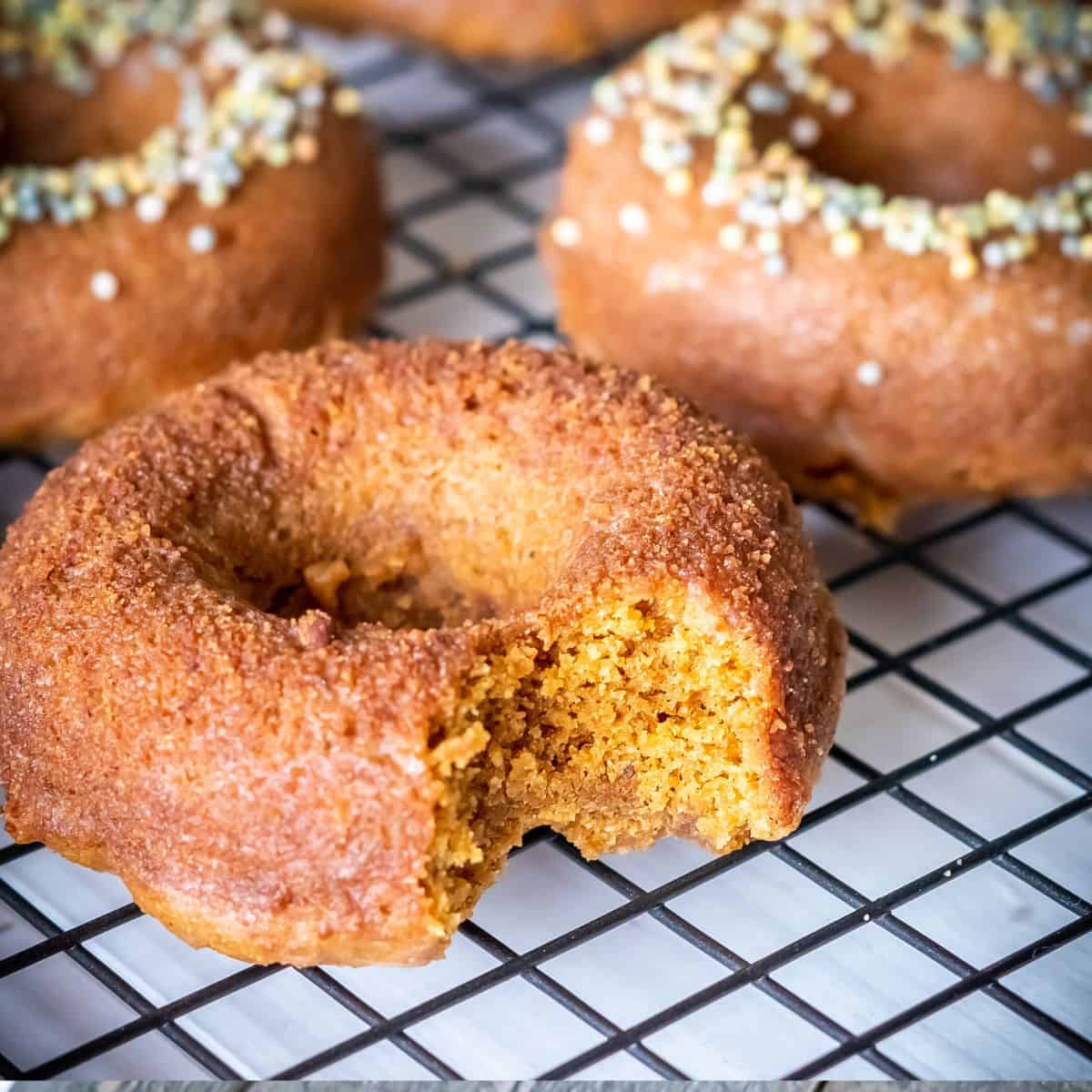 Three paleo pumpkin donuts with different toppings and a bite removed to show the traditional donut crumb.