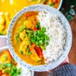 A close up of a bowl of pumpkin chicken curry to show the smooth curry sauce with vegetables, chicken, and green onions.