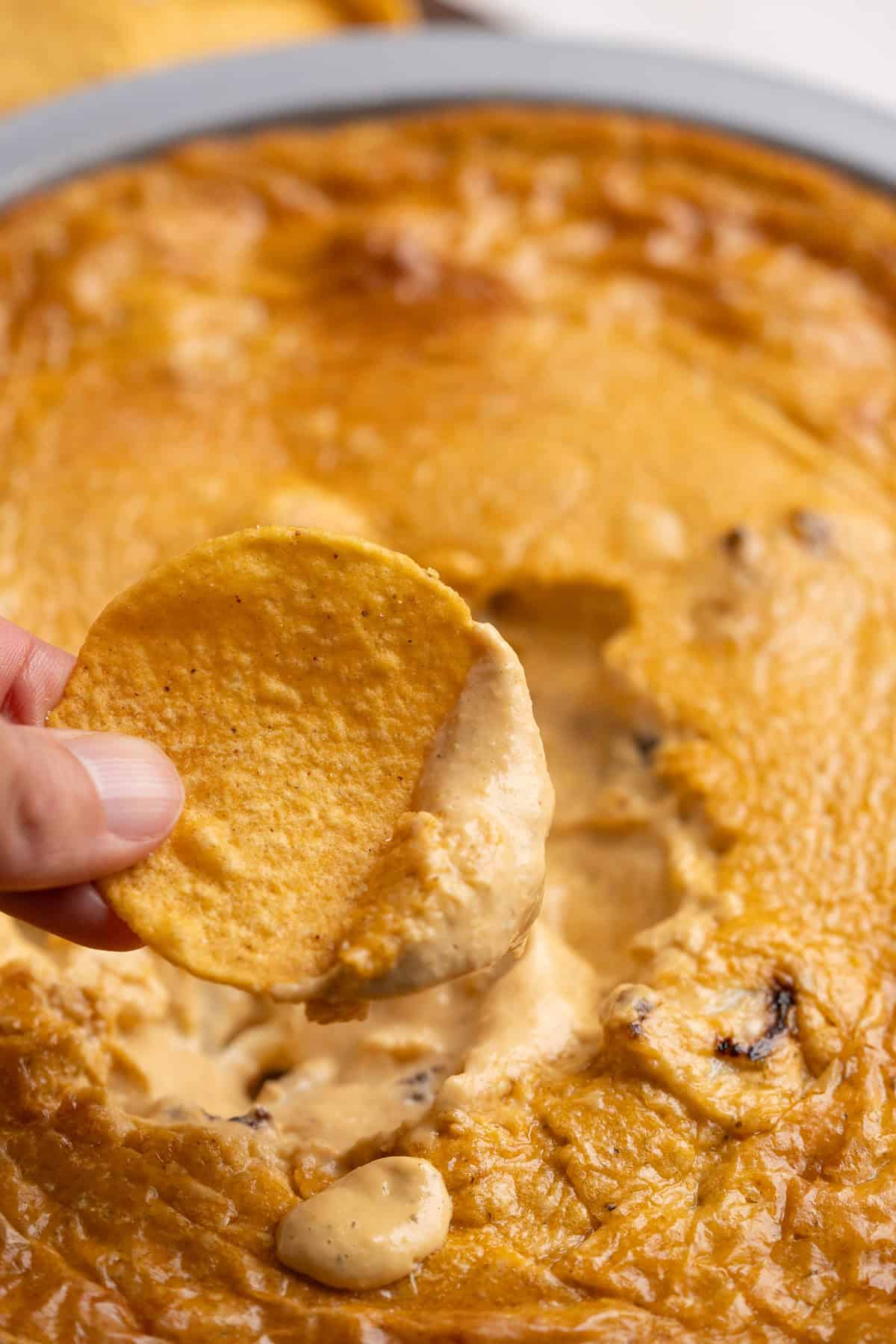 A chip dipped into creamy buffalo chicken dip.