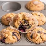 A side view of the inside of a gluten-free blueberry muffin to show the tall top and moist texture.