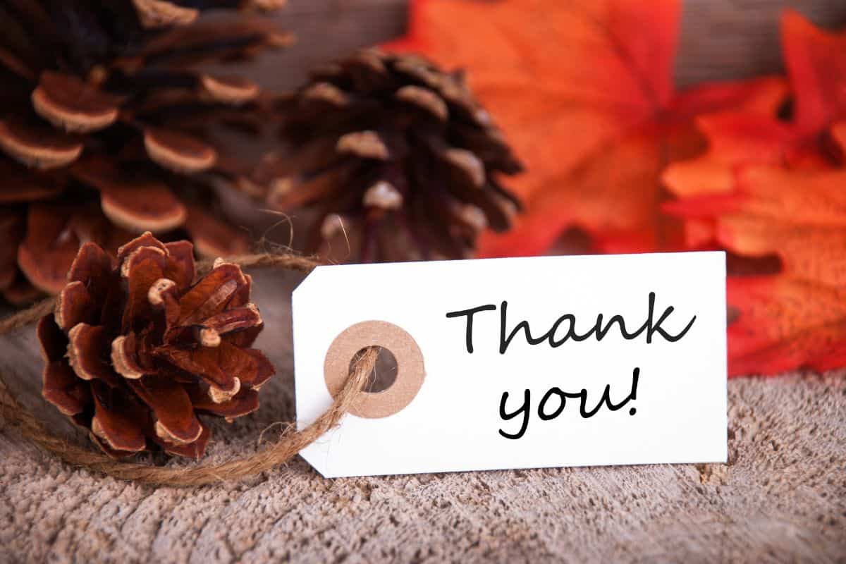 A "Thank you" tag amongst Fall decor.