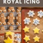 Vegan sugar and gingerbread cookies decorated with vegan royal icing.