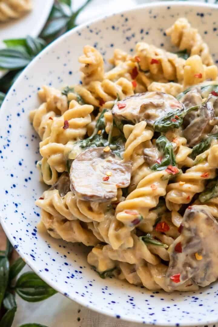 Vegan Vibrantly G Free