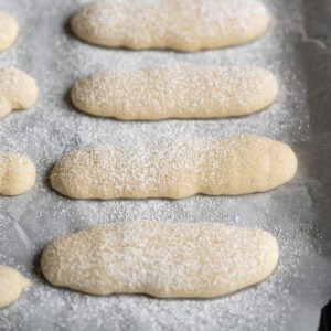 A close up of soft vegan ladyfinger sponge cookies dusted with powdered sugar.