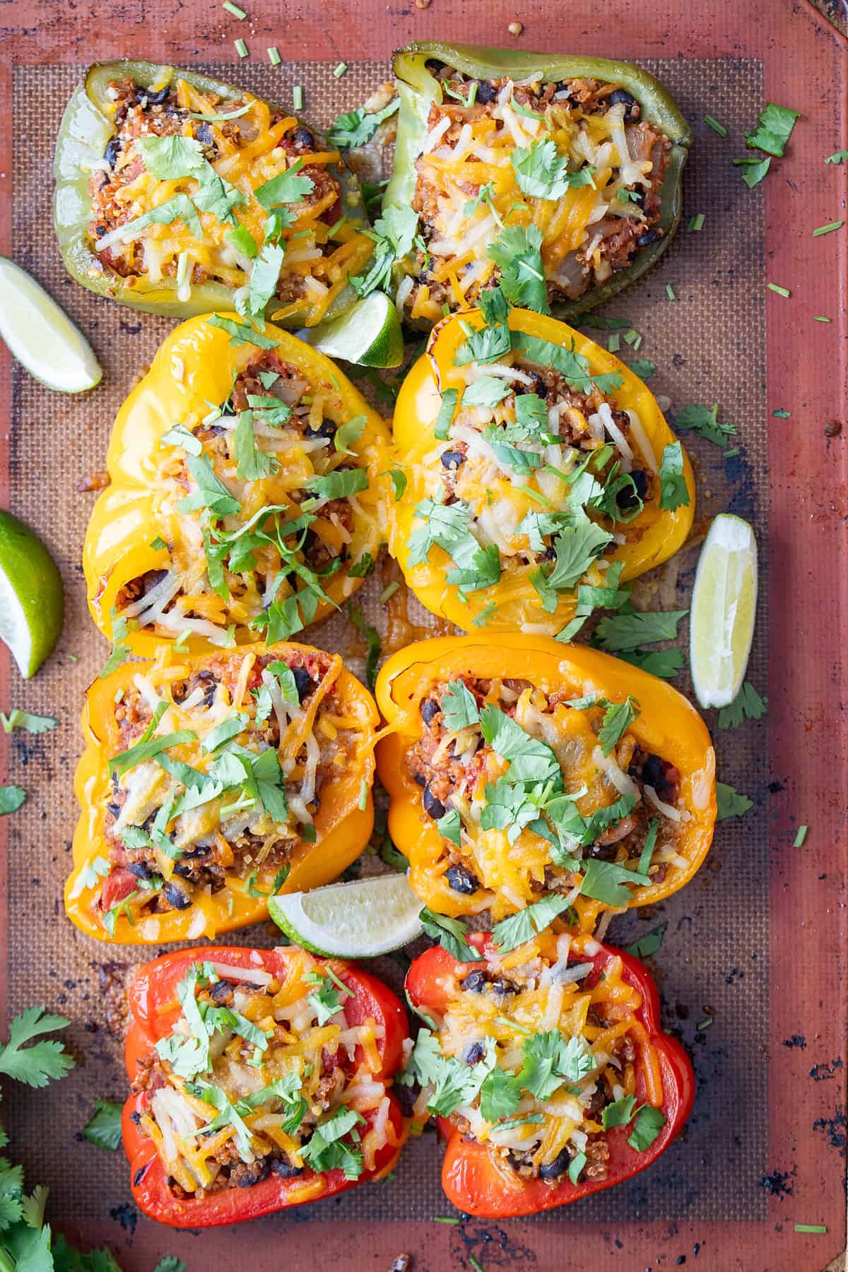 Eight roasted bell pepper halves stuffed with a quinoa and black been mixture and topped with cheese and cilantro.